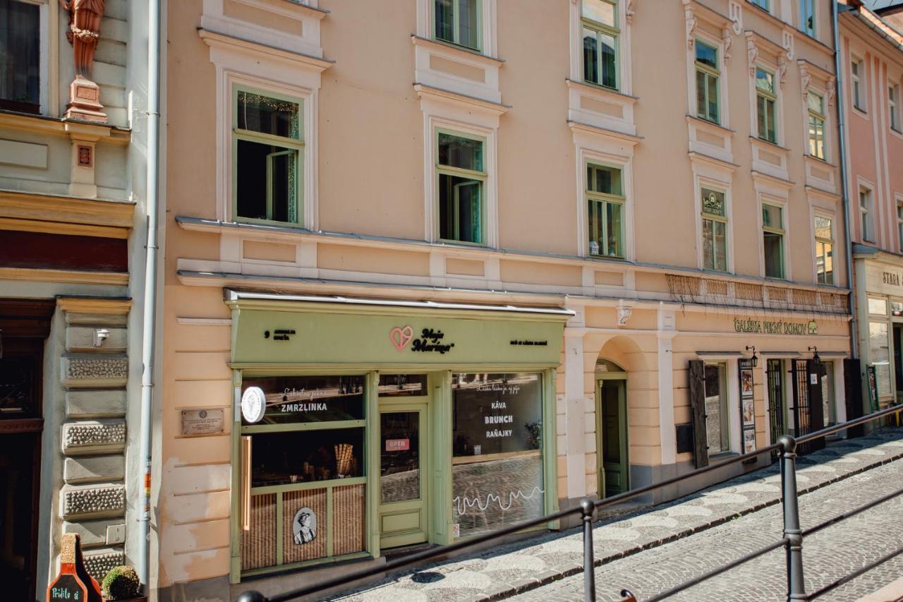 Priestranny Apartman Moja Marina V Srdci Stiavnice Банска-Штьявница Экстерьер фото