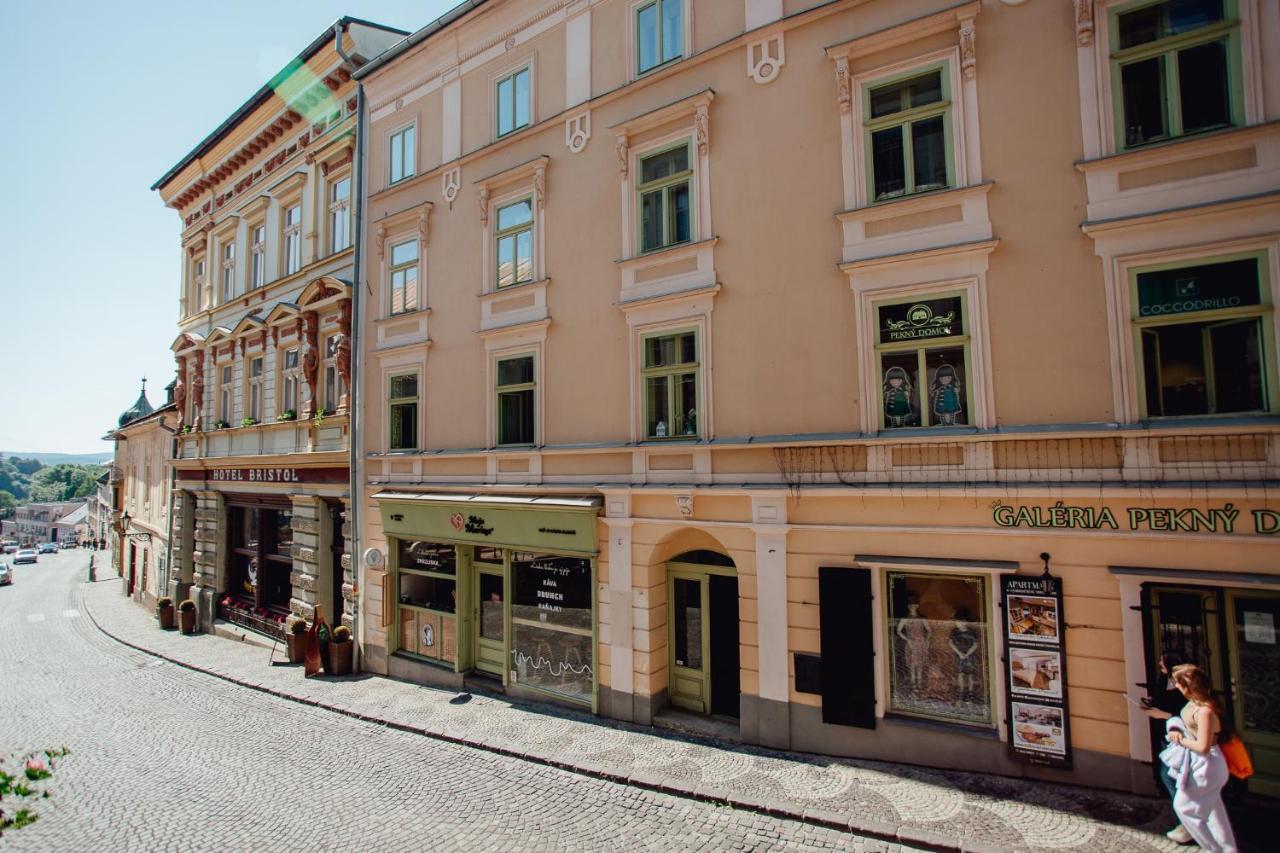 Priestranny Apartman Moja Marina V Srdci Stiavnice Банска-Штьявница Экстерьер фото